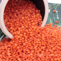 Wholesale High Quality Organic Red split Lentils With Out Husk